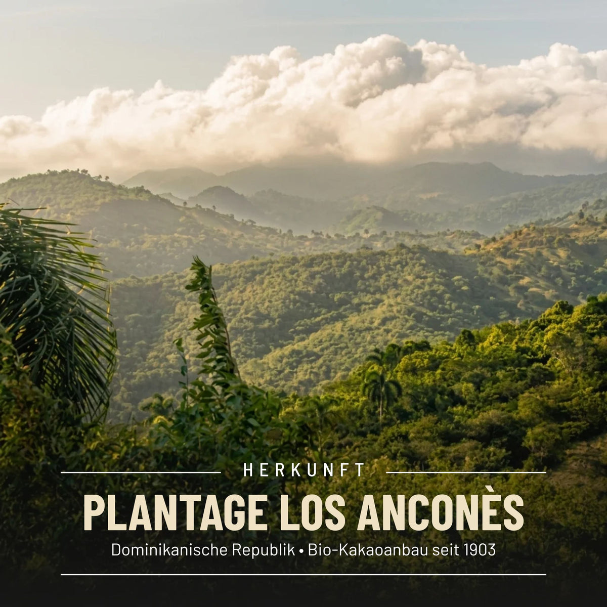 BIO-Plantagenschokolade Zartbitter Dominikanische Republik (Los Anconès)